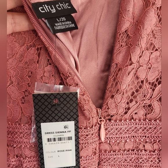 City Chic Rose Pink Sienna Lace Fit and Flare Mini Dress Size 20 - Picture 12 of 14